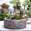 Gardening Simulation Stone Flower Bonsai - Image 4