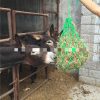 Forage Pocket Feeding Horse Bag Haystack Bag Grass Net Pocket Horse Feed Bag - Image 4